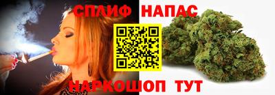 кокс Кингисепп