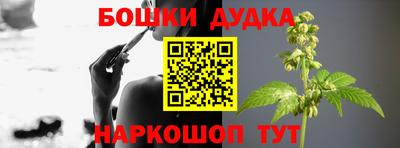 кокс Кингисепп