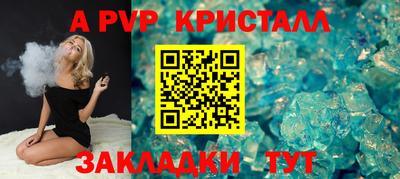 кокс Кингисепп