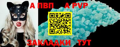 кокс Кингисепп