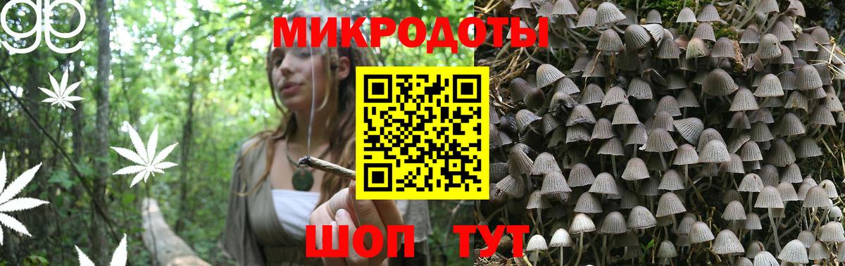 Галлюциногенные грибы мухоморы  Псилоцибиновые грибы Psilocybe  наркотики  Коммунар  Вход с VPN 